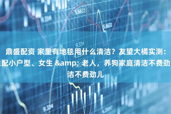 鼎盛配资 家里有地毯用什么清洁？友望大橘实测：适配小户型、女生 & 老人，养狗家庭清洁不费劲儿