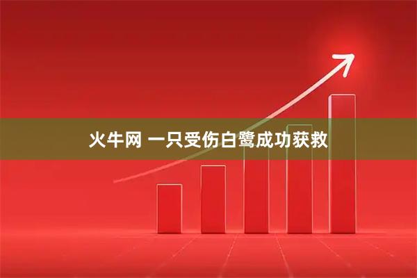火牛网 一只受伤白鹭成功获救